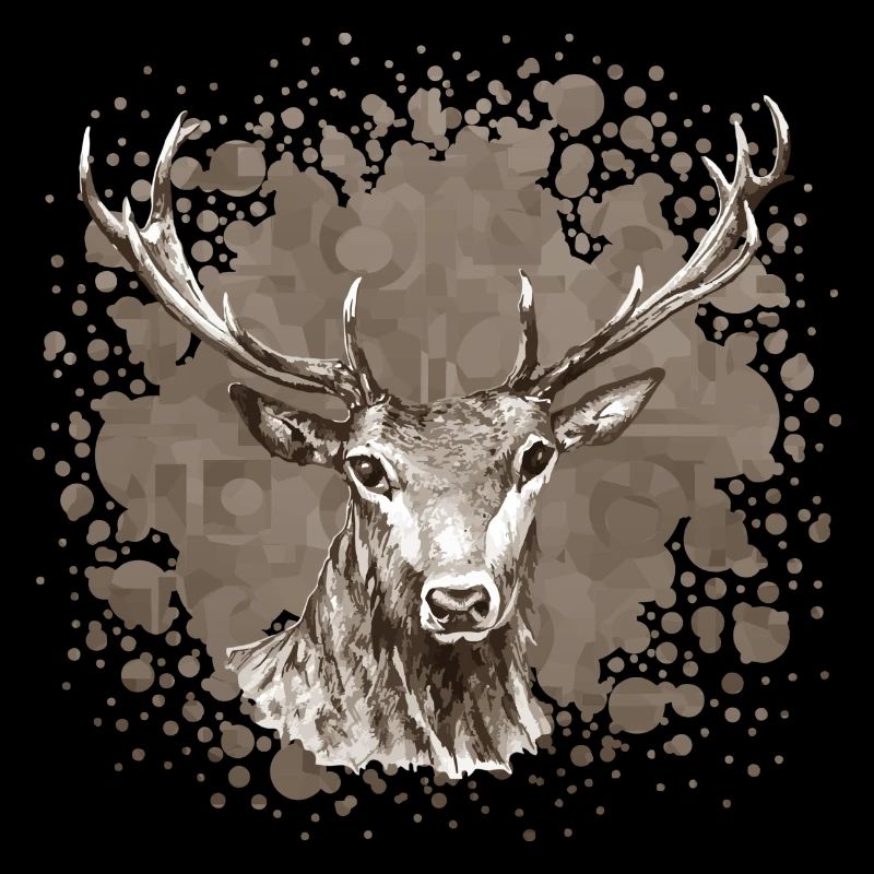 Hirsch