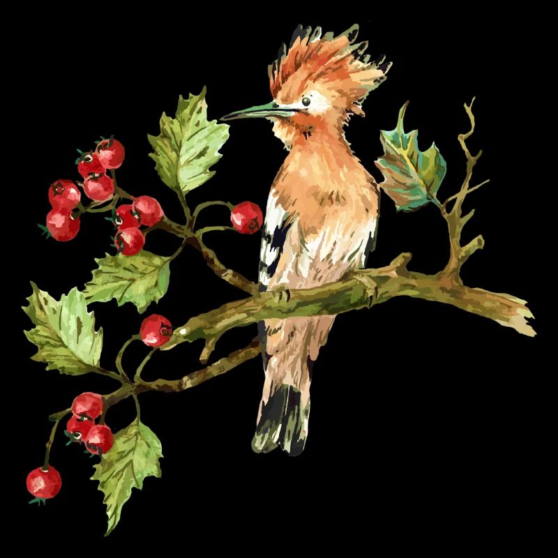 Oiseau coloré