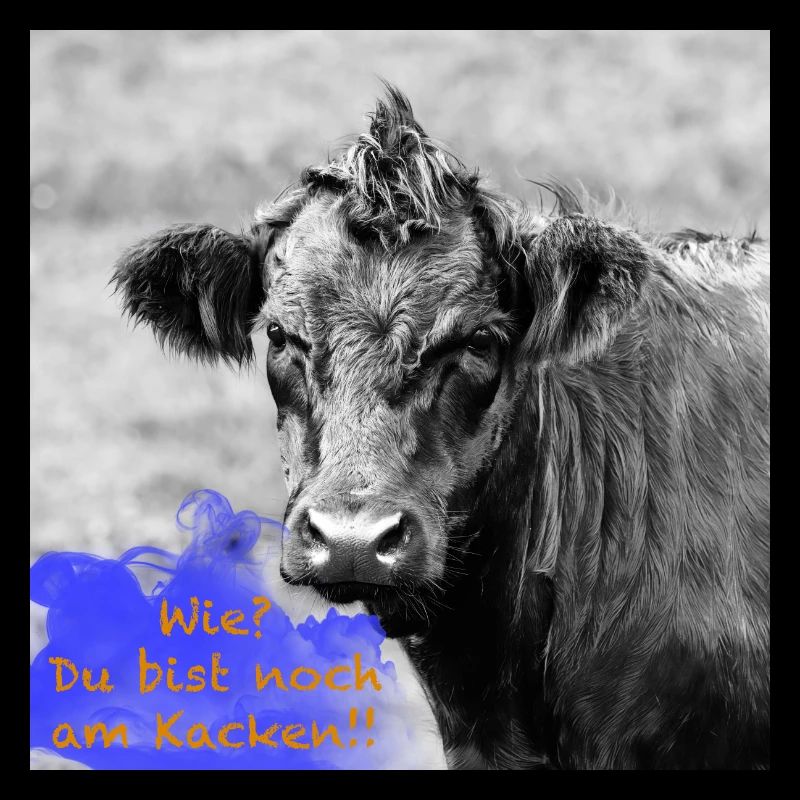 Rind mit lustigem Spruch