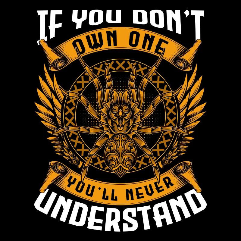 Spider, Animal, Web, Eight Eyes