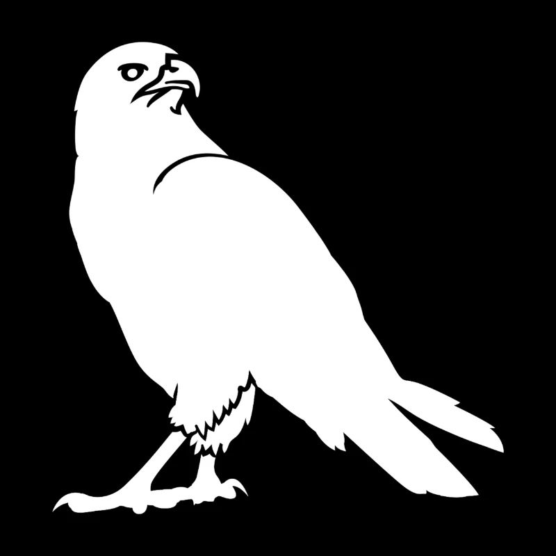 faune, aigle, buse, faune, oiseaux, oiseau, zoo