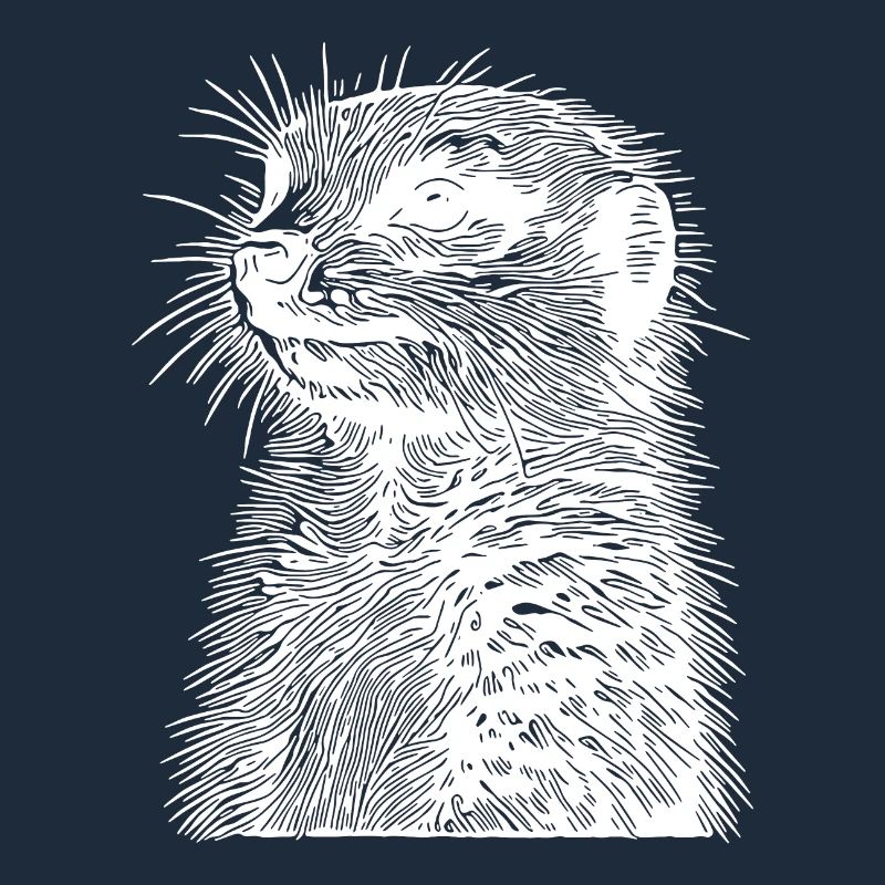 Süsses kleines Erdmännchen mit Querstreife