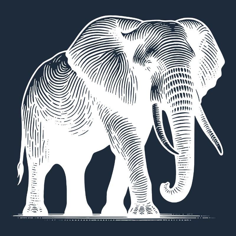 Elephant - Large safari proboscis with tusks