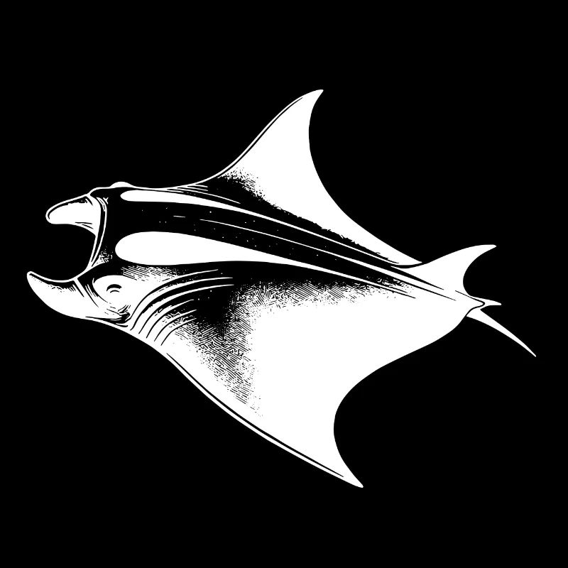 Huge elegant manta ray in underwater flight