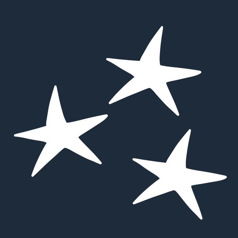 Star pattern icon