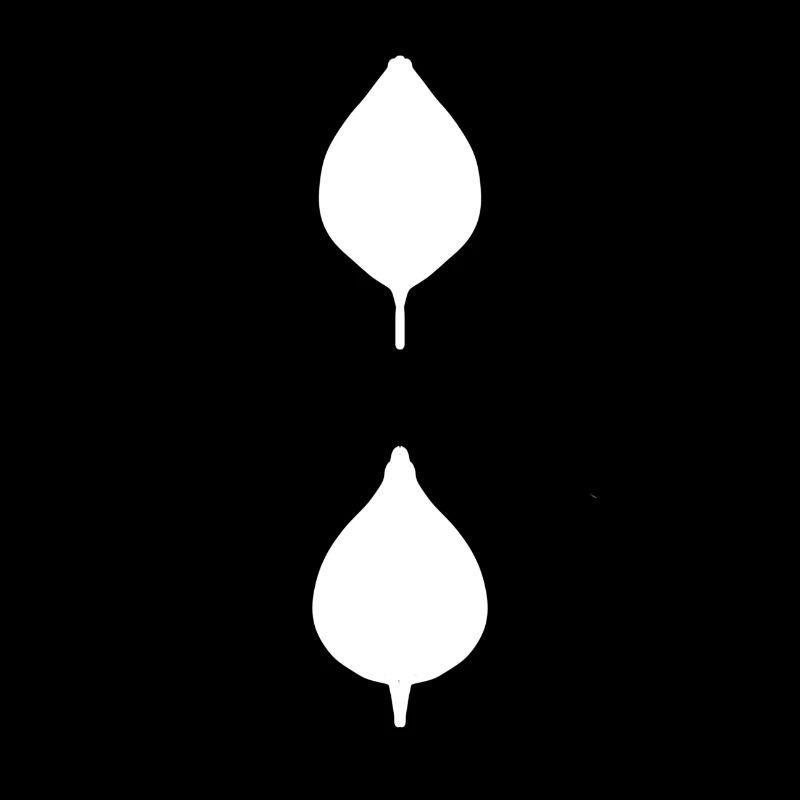 two leaves of natural leaf
