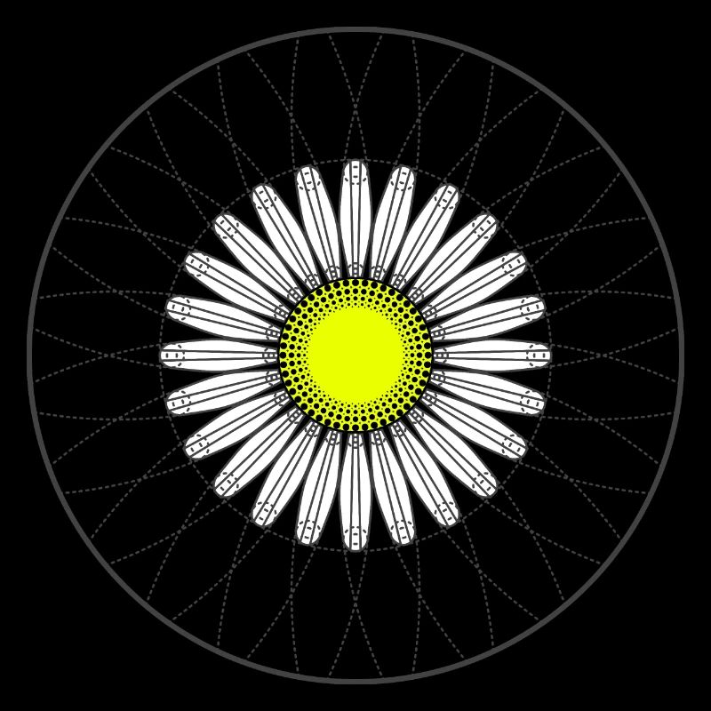 Daisy - Dark