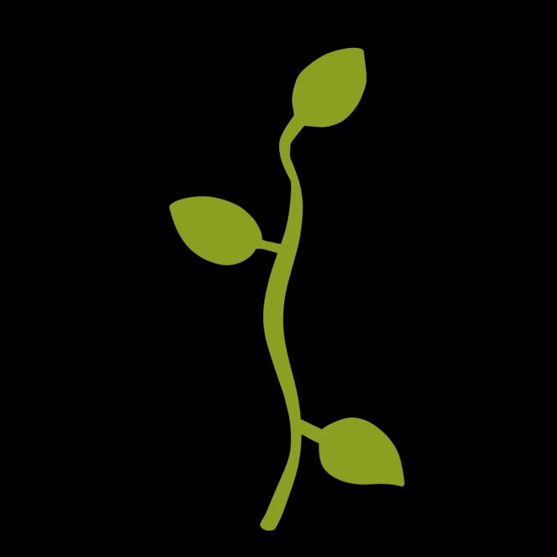 Feuille Feuilles Ligne Nature Vert Branche