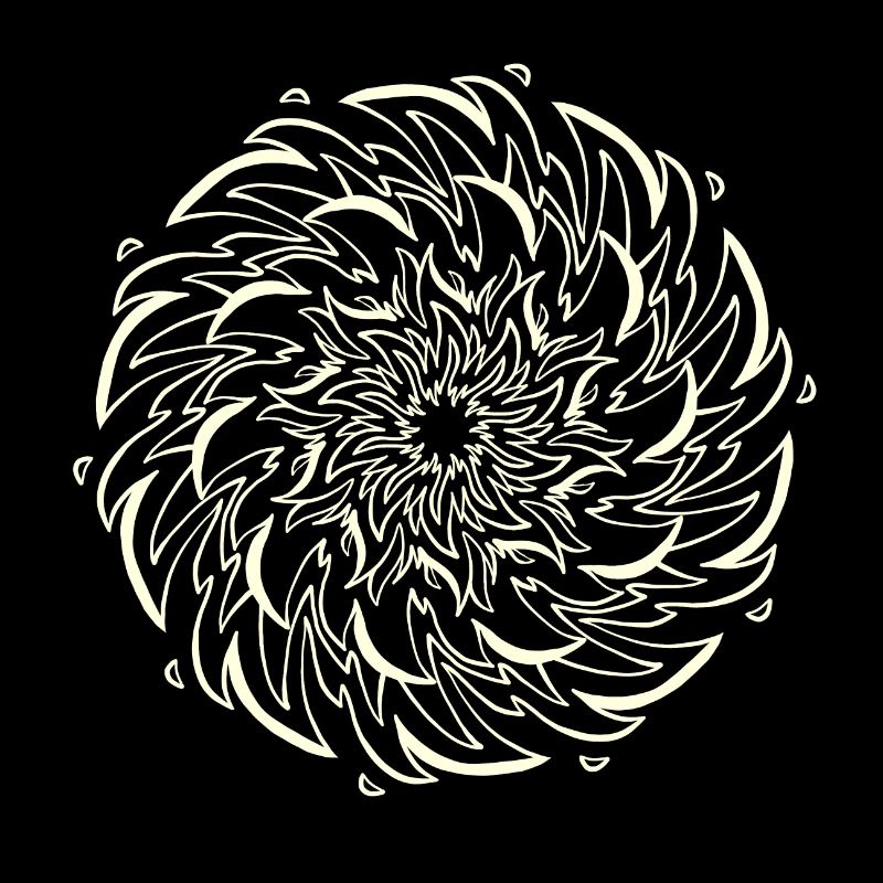 Une fleur de soleil