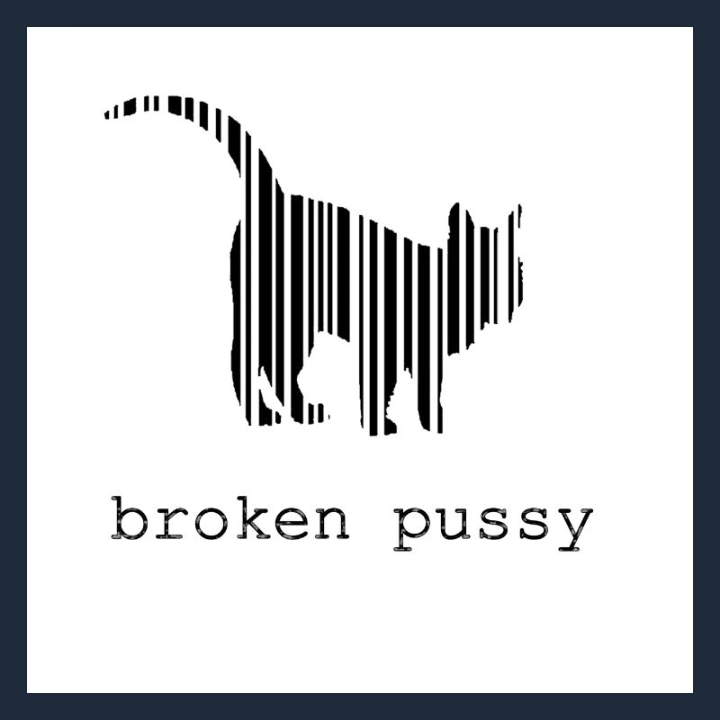 Broken Katze
