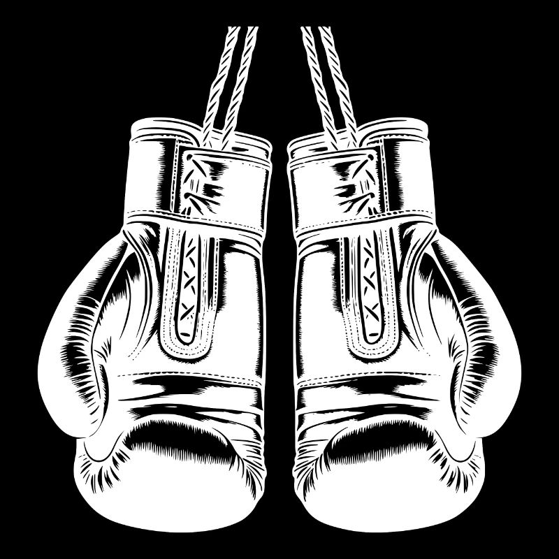 Old Boxing Gloves Classic Martial Arts Accessories