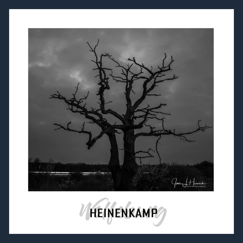 Wolfsburger Baum im Heinenkamp