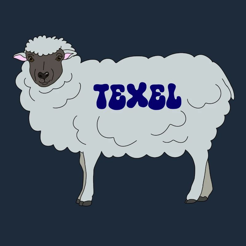 Texel sheep