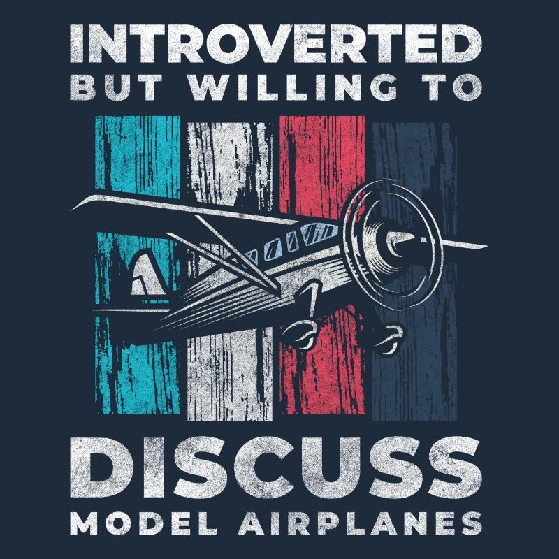 Model Airplane Model Flying Machine Flight