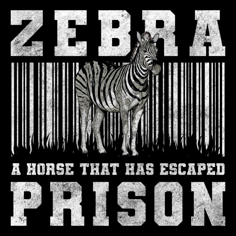 Zebra Tier Safari Wildlife