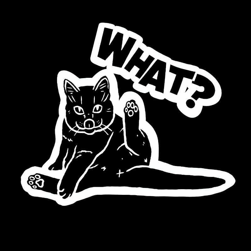 Funny Cat Meme – Quirky 'WHAT?' Illustration