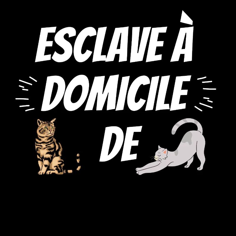 ESCLAVE A DOMICILE DE MON CHAT PERSONNALISABLE