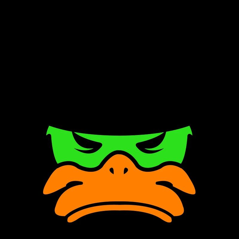 mexico duck 02