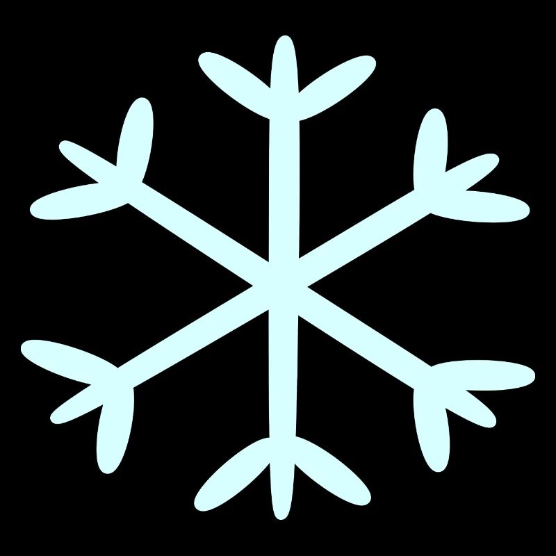 Flocon de neige Flocons de neige Noël