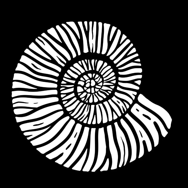 Die spiralförmige schwarze Musche