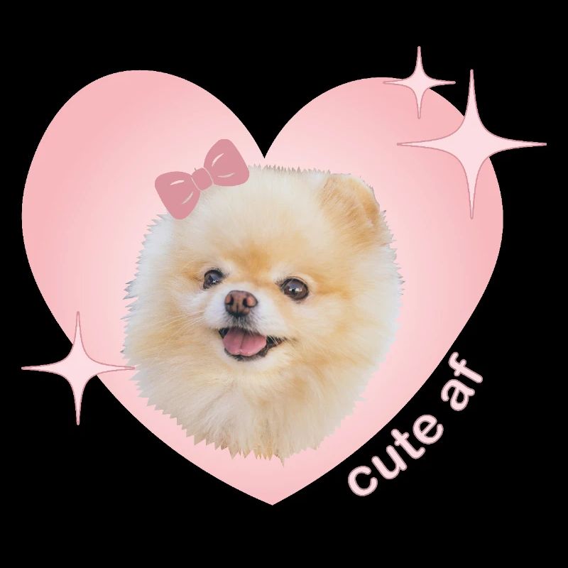Cute AF Pomeranian