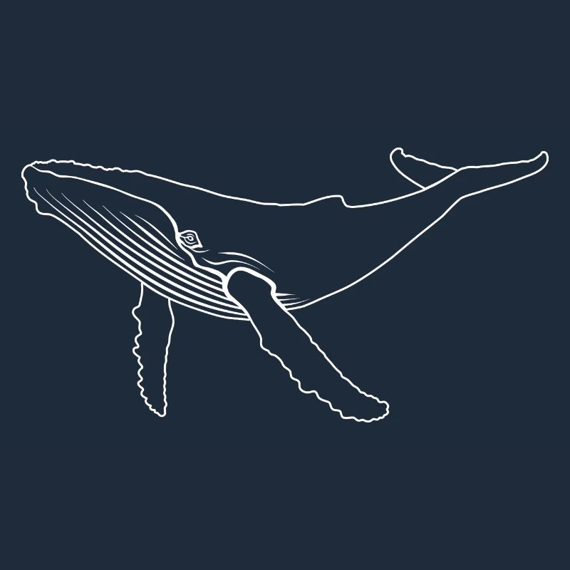 Wal - Buckelwal - Meeressäuger - Geschenk