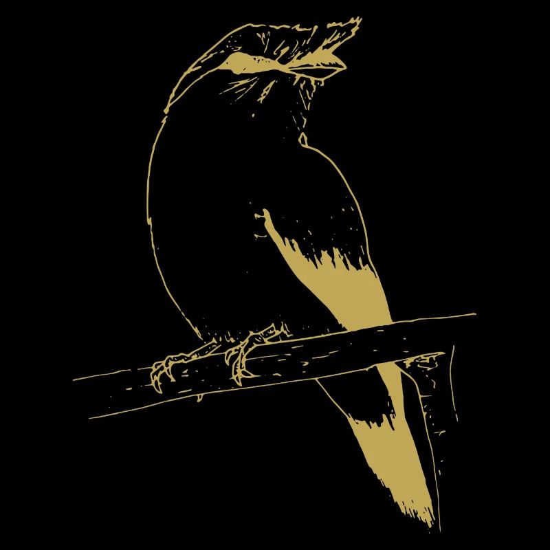 Illustrated designs with bird