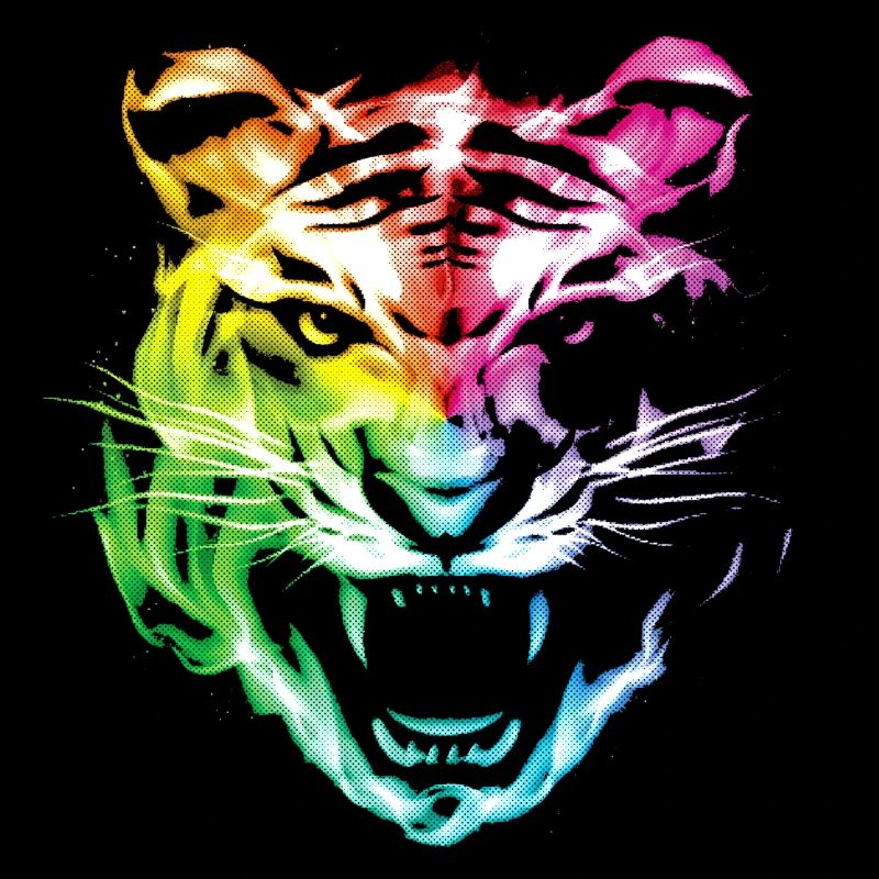 Leopard Tiger Animal