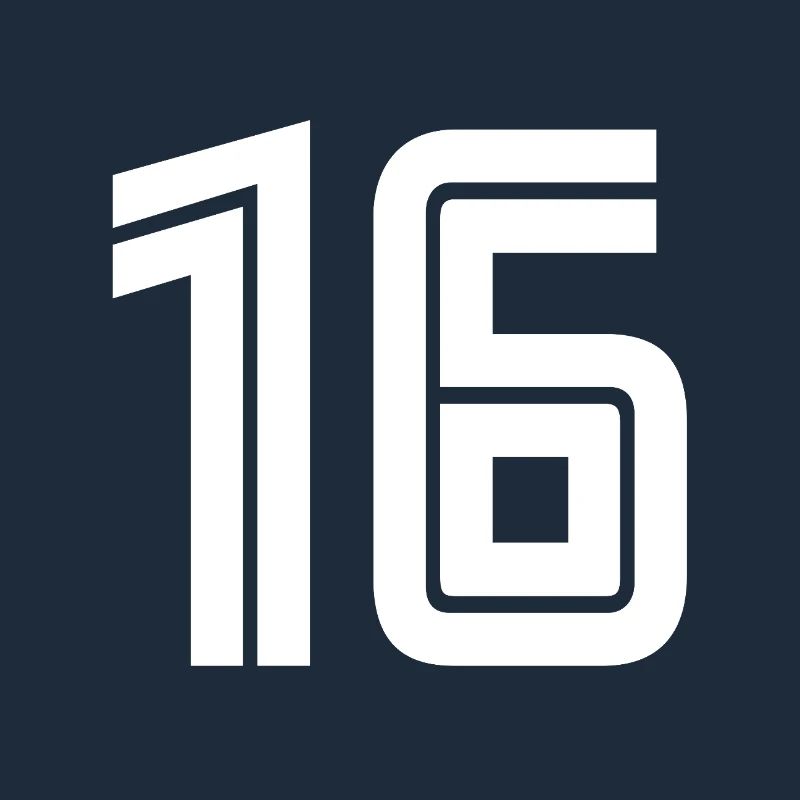 Jersey number 16 – 16th birthday gift
