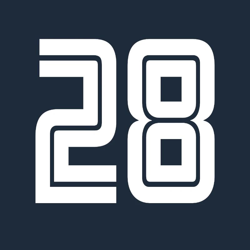 Jersey number 28 – 28th anniversary gift