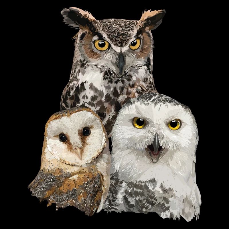 Chouettes et hiboux