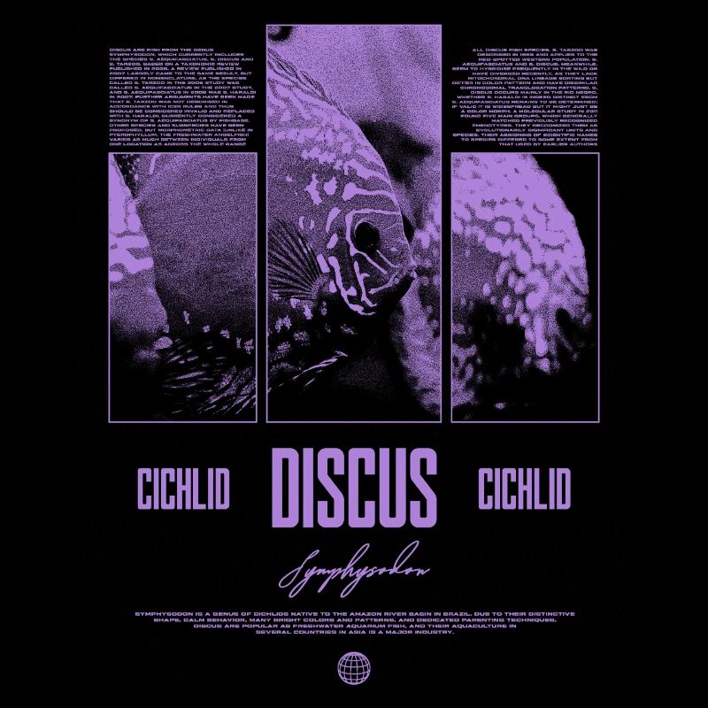 Discus Cichlidé Aquarium Fish Keeper