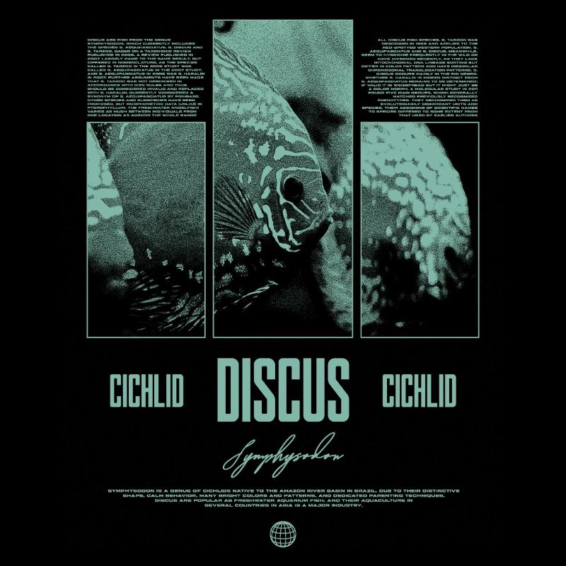 Discus Cichlidé Aquarium Fish Keeper