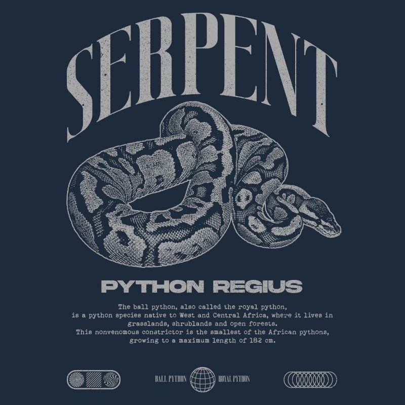 Ball Python Modern Reptile Keeper Streetwear