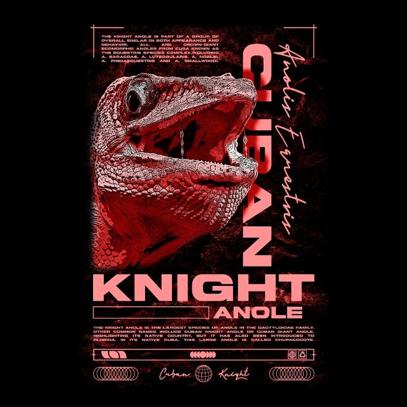 Kubanischer Ritter Anole Reptilienhalter Eidechse