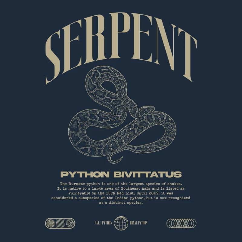 Burmese Python Modern Reptile Keeper Streetwear