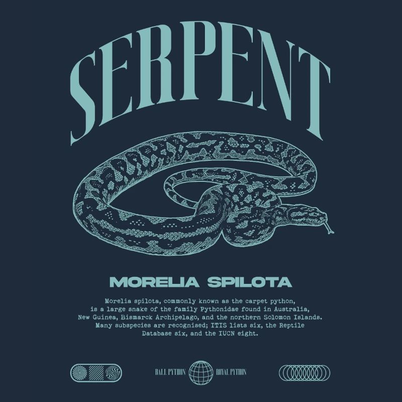 Carpet Python Modern Reptile Keeper Streetwear