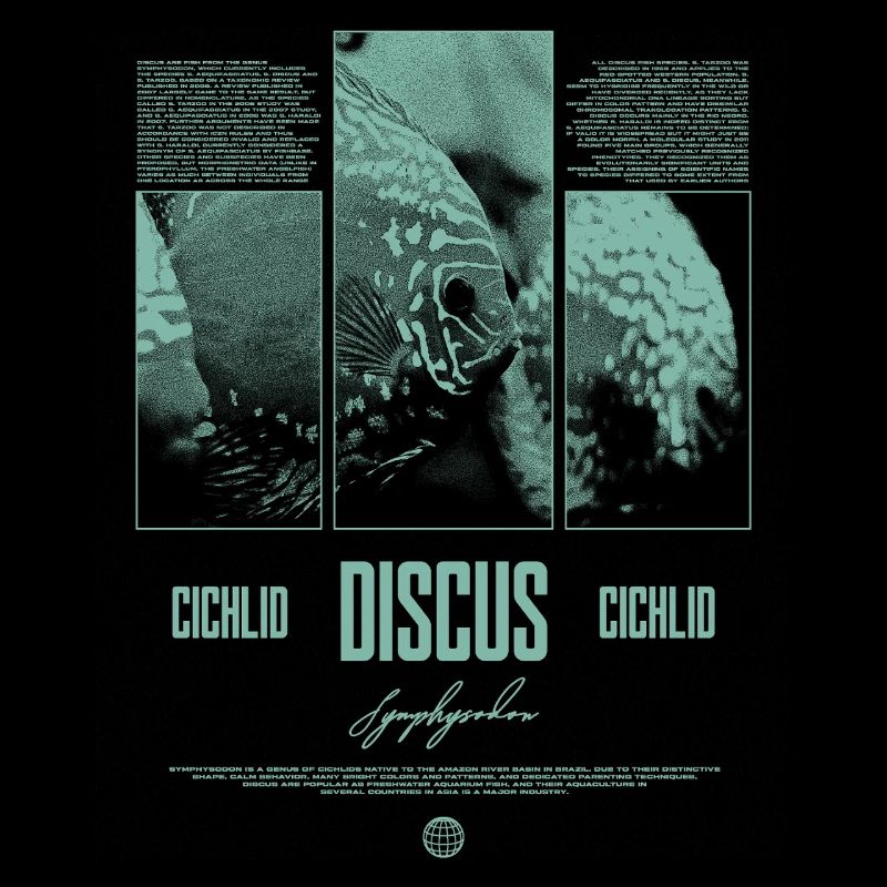 Discus Cichlidé Aquarium Fish Keeper