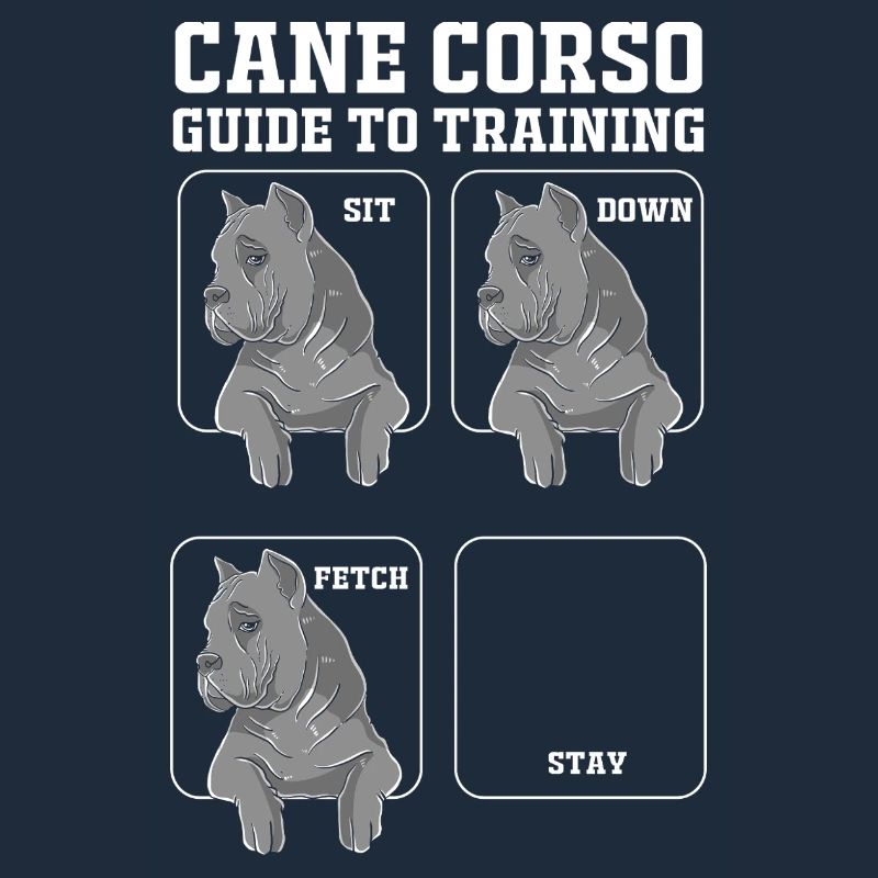 Cane corso