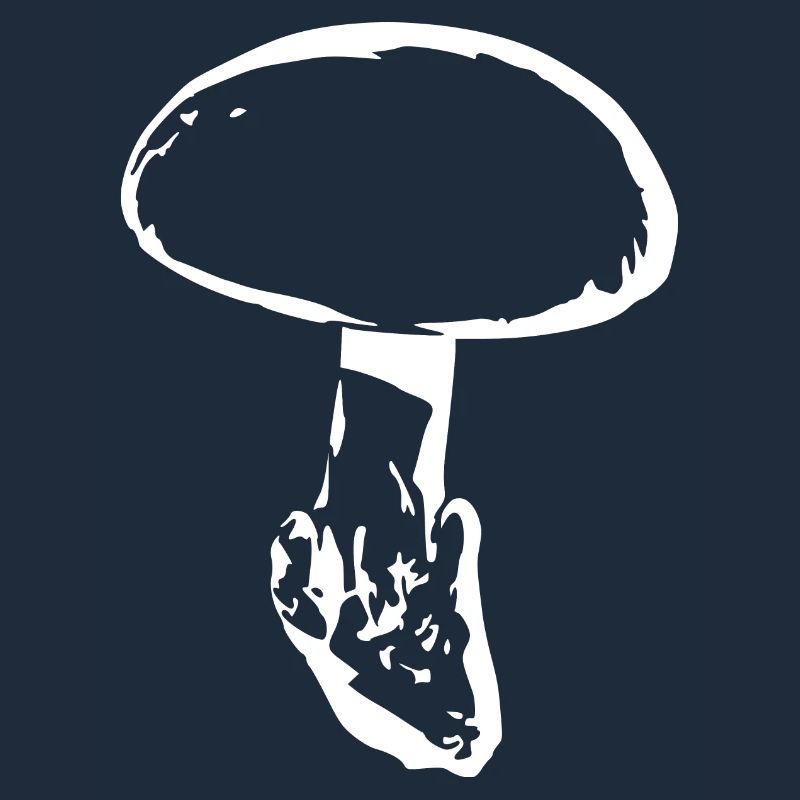 Mushroom white, mushroom picking