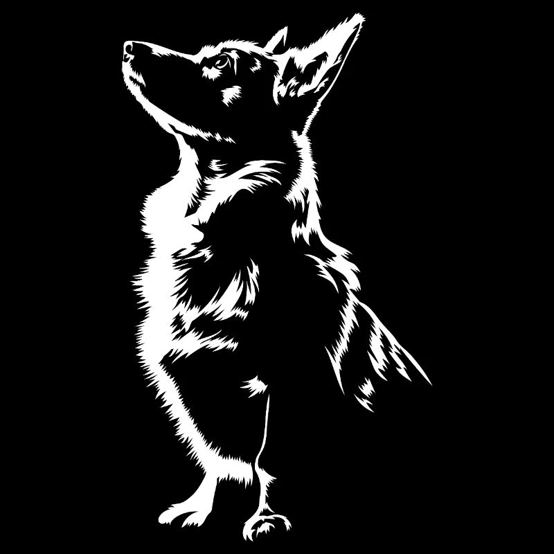 Welsh Corgi Silhouette Chiens Chien Wilsigns