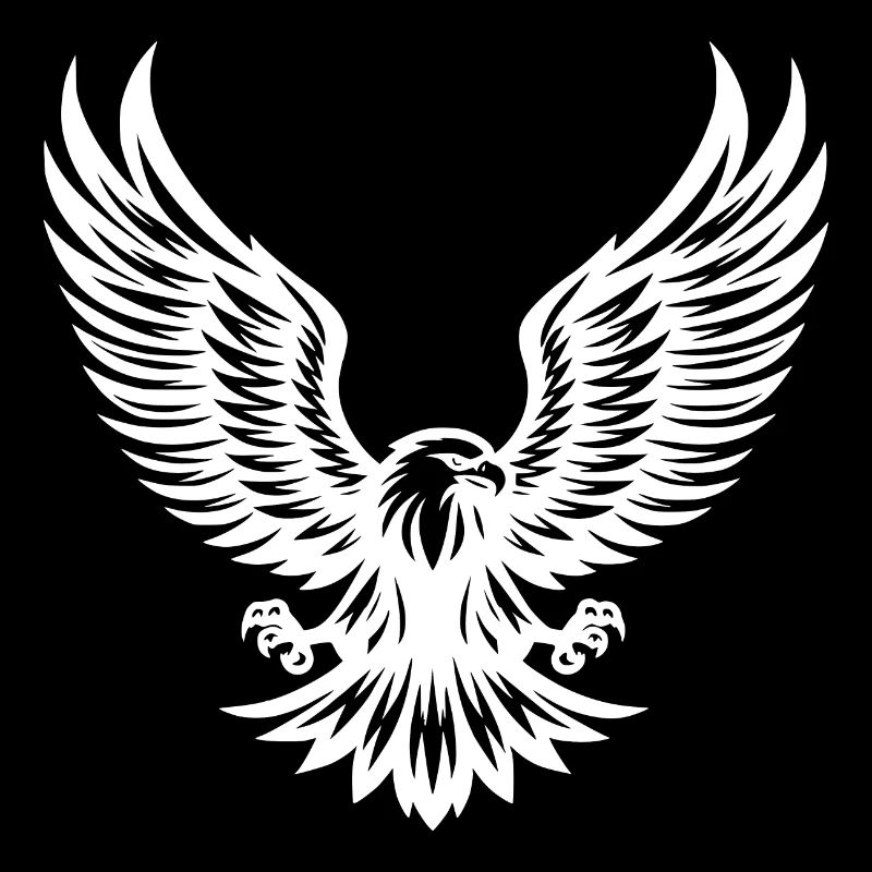 Powerful eagle with spread claws
