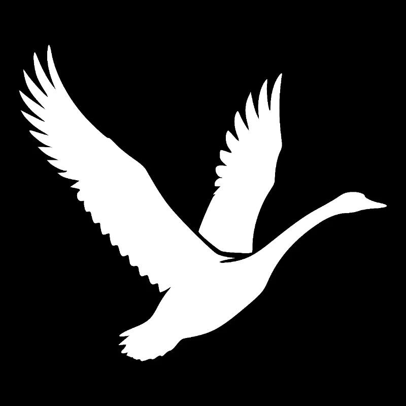 Cygne volant élégant