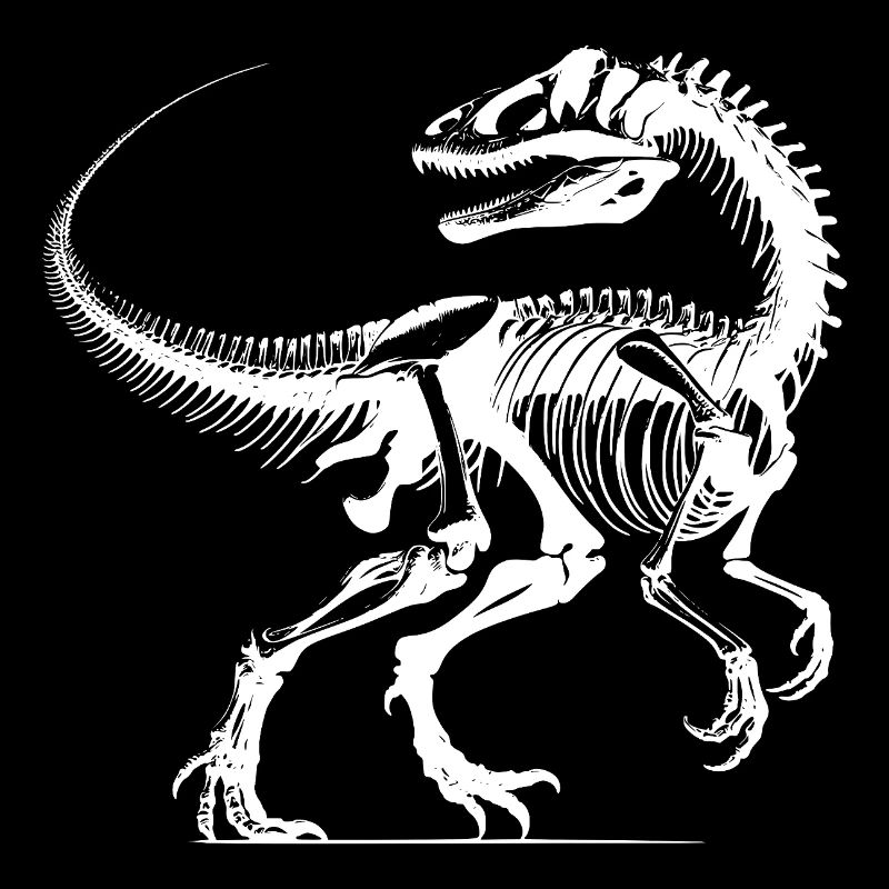 Os de dinosaure vieux, pas de peau, pas de problème