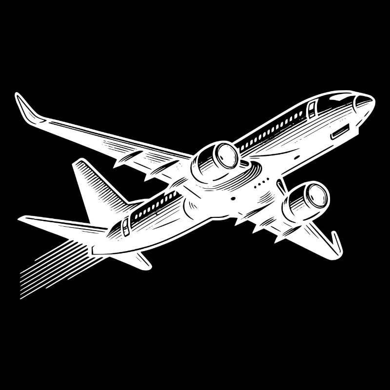 Jet Flugzeug auf Reiseflughöhe