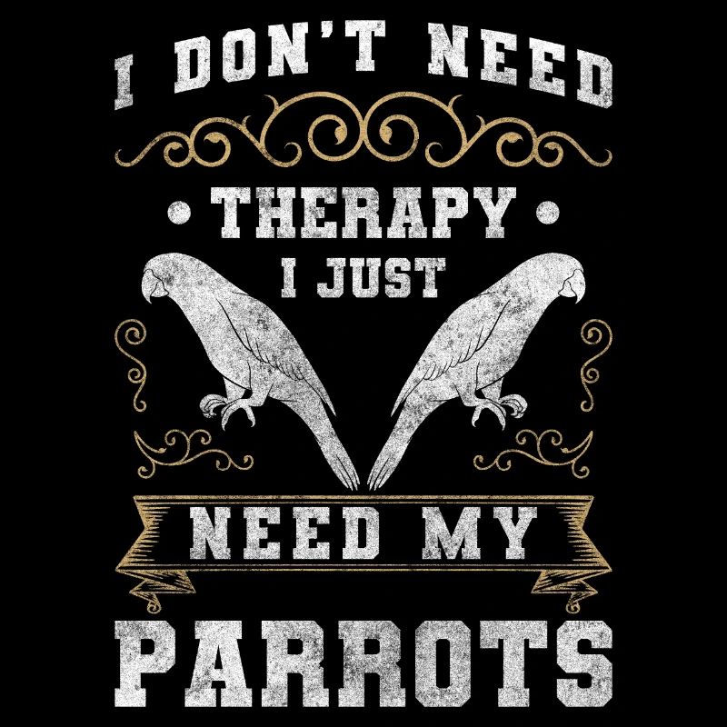 Birds Plumage Grey Parrot Exotic