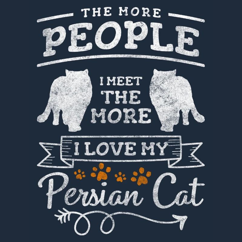 Persan Mignon Bébé