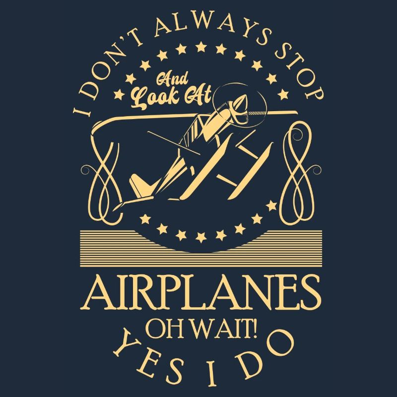 Model Airplane Hobby Pilot Model