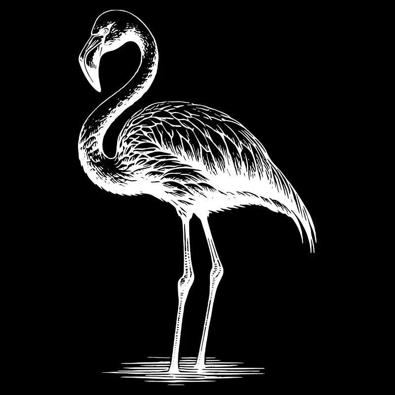 Flamant rose câlin