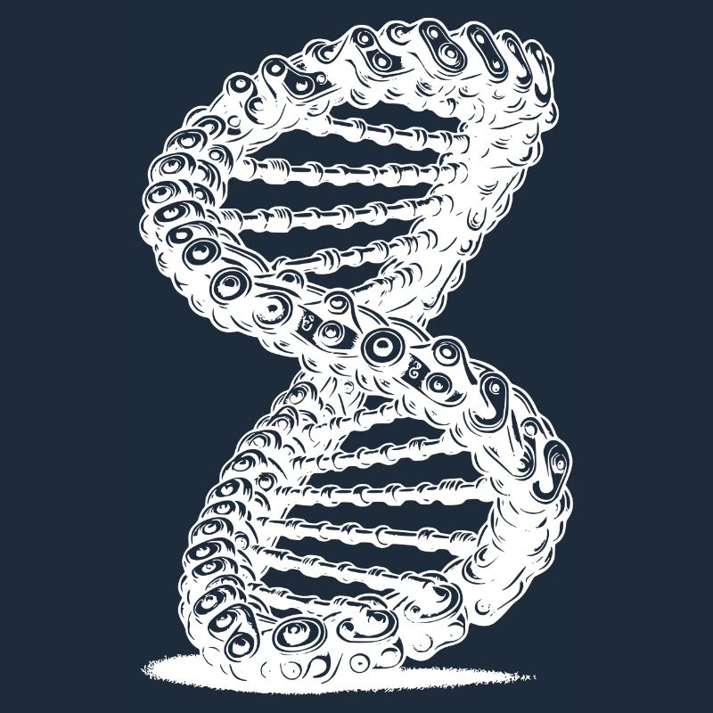 Twisted Möbius Loop Chain DNA Möbius Ribbon